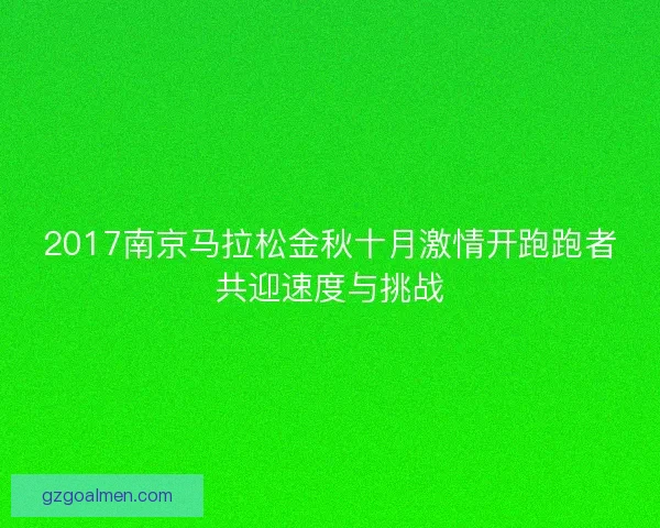 2017南京马拉松金秋十月激情开跑跑者共迎速度与挑战